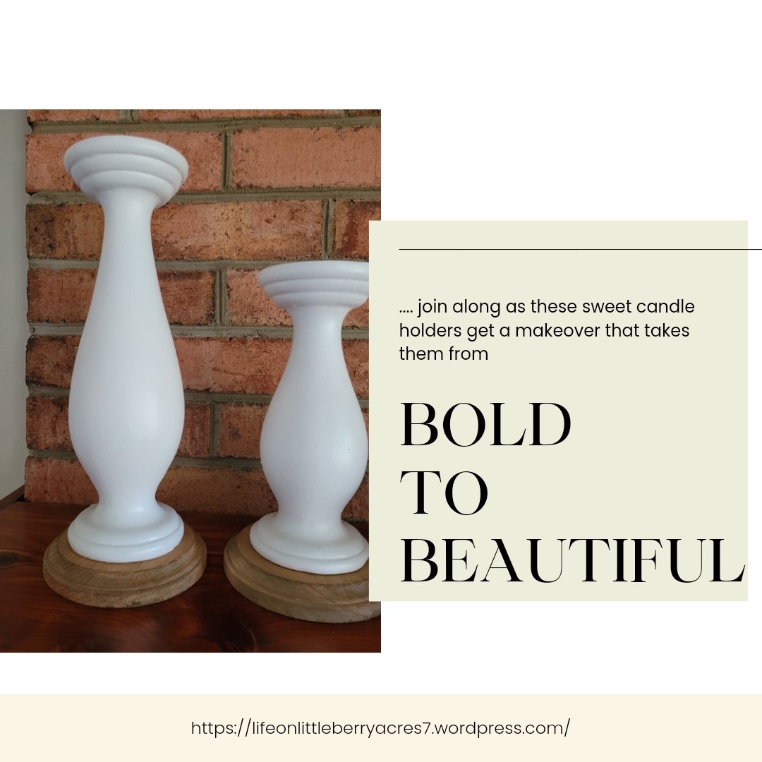 From Bold to Beautiful